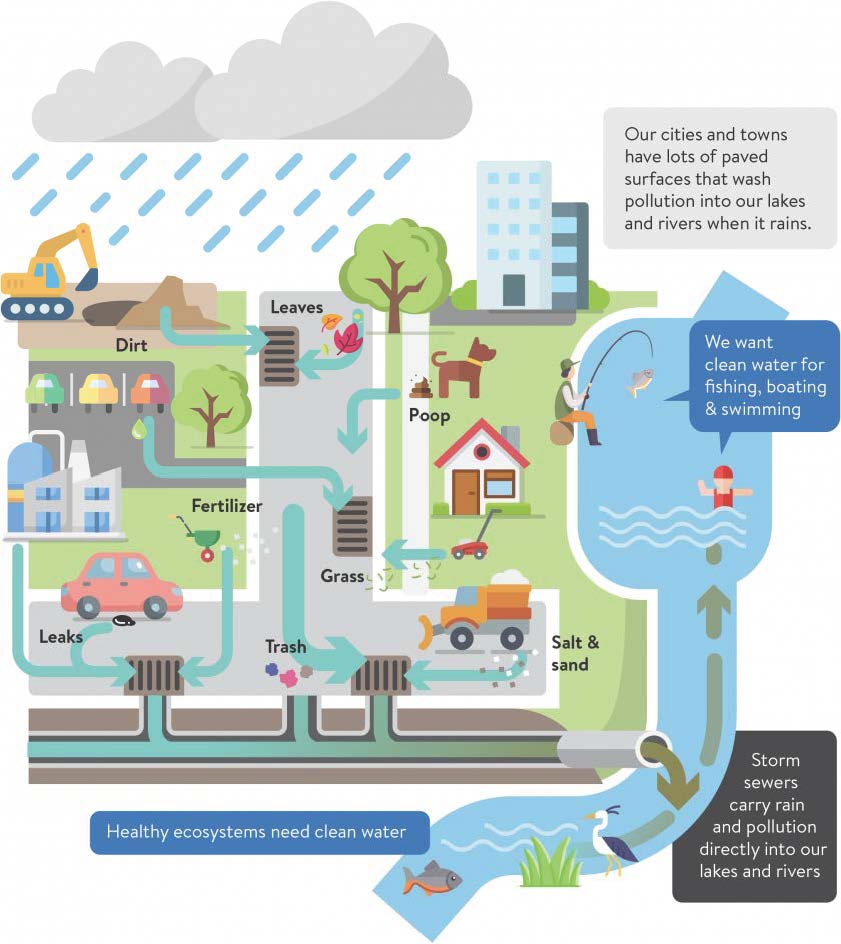 Stormwater-MS4-infographic